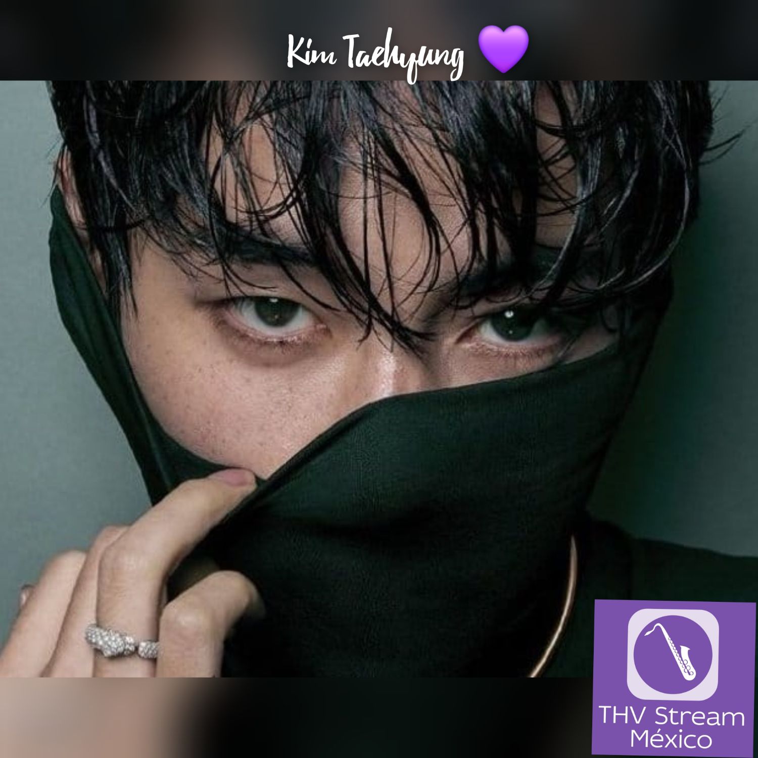 V (BTS)ファンが撮った瞬間