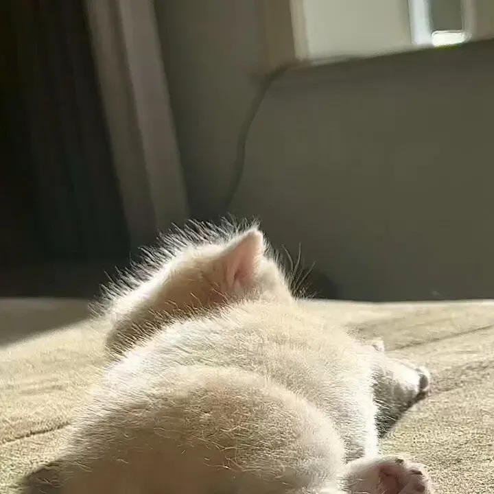 Behind-the-scenes cut of Hanbin (TEMPEST)