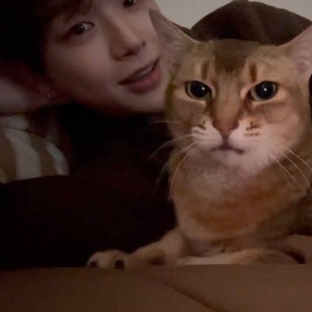 カン・ダニエルファンが撮った瞬間