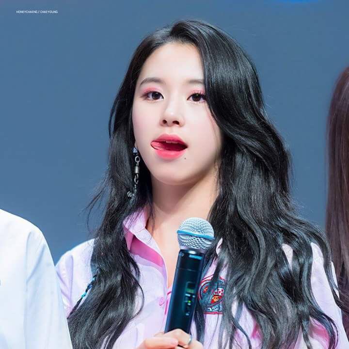 Recent activity shot of TWICE