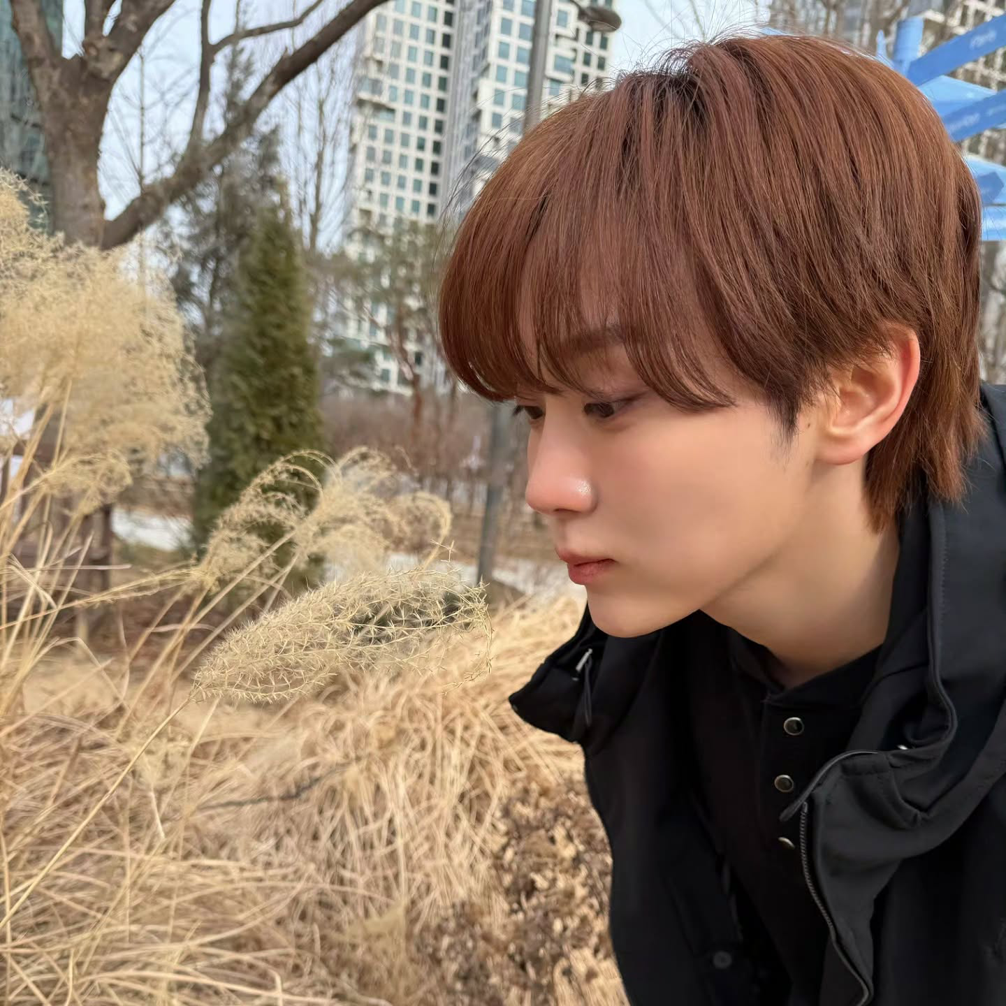 Latest photo of Seungkwan (SEVENTEEN)