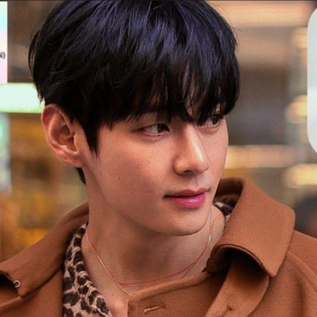 Momen yang diabadikan oleh penggemar V (BTS)