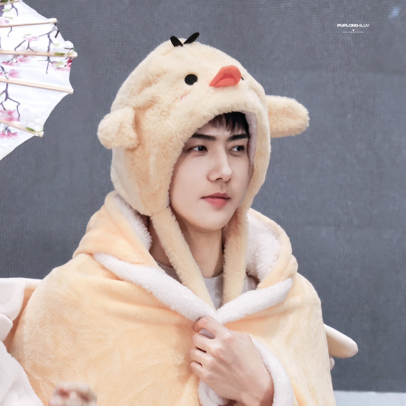 EXO의 최신 사진