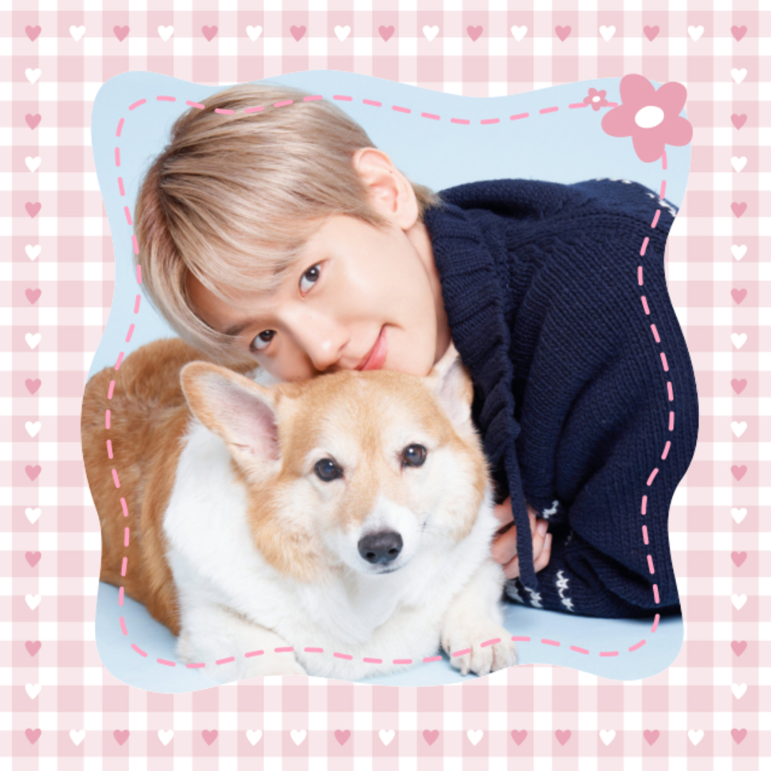 백현 (EXO) 팬이 찍은 순간