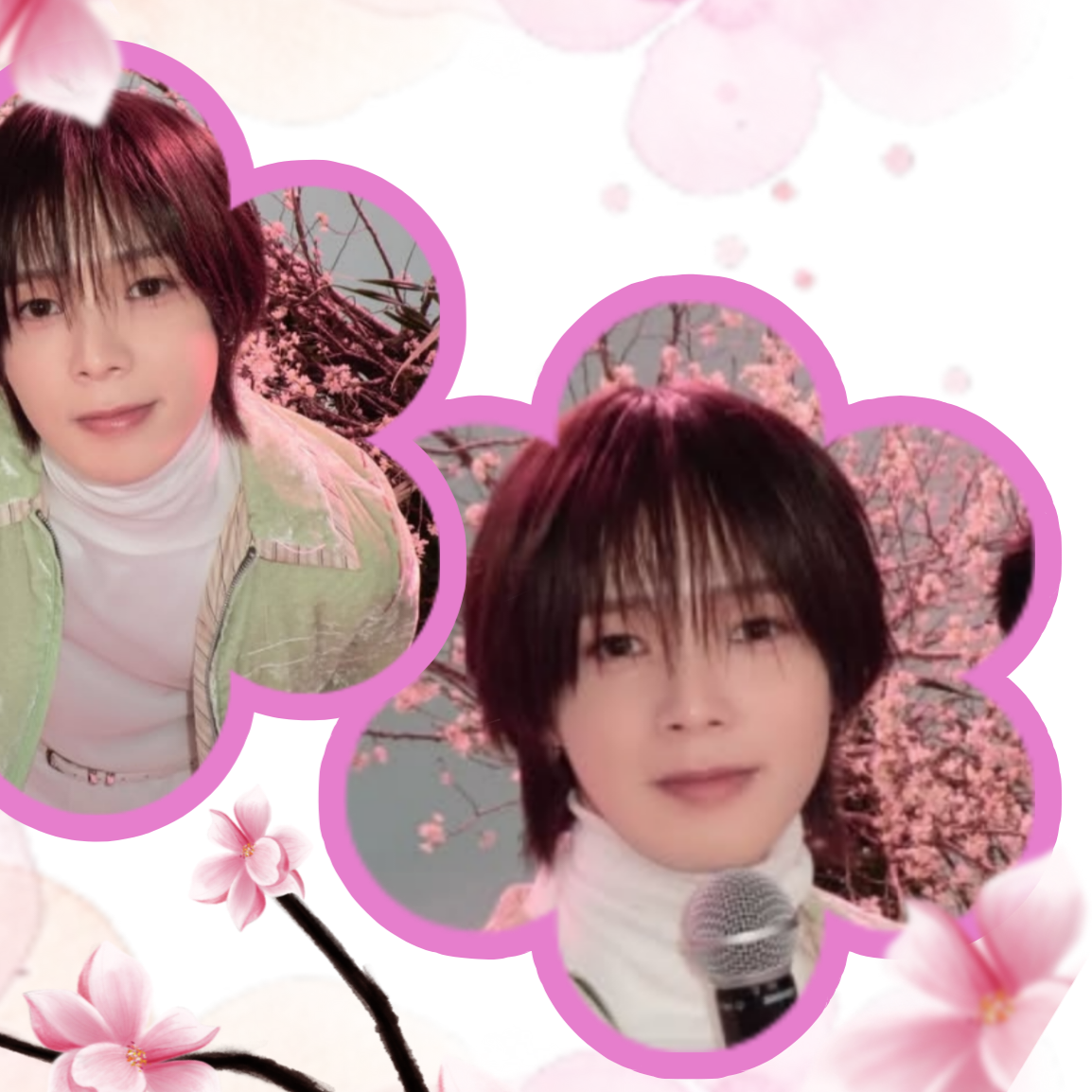 K (&TEAM)的最新照片