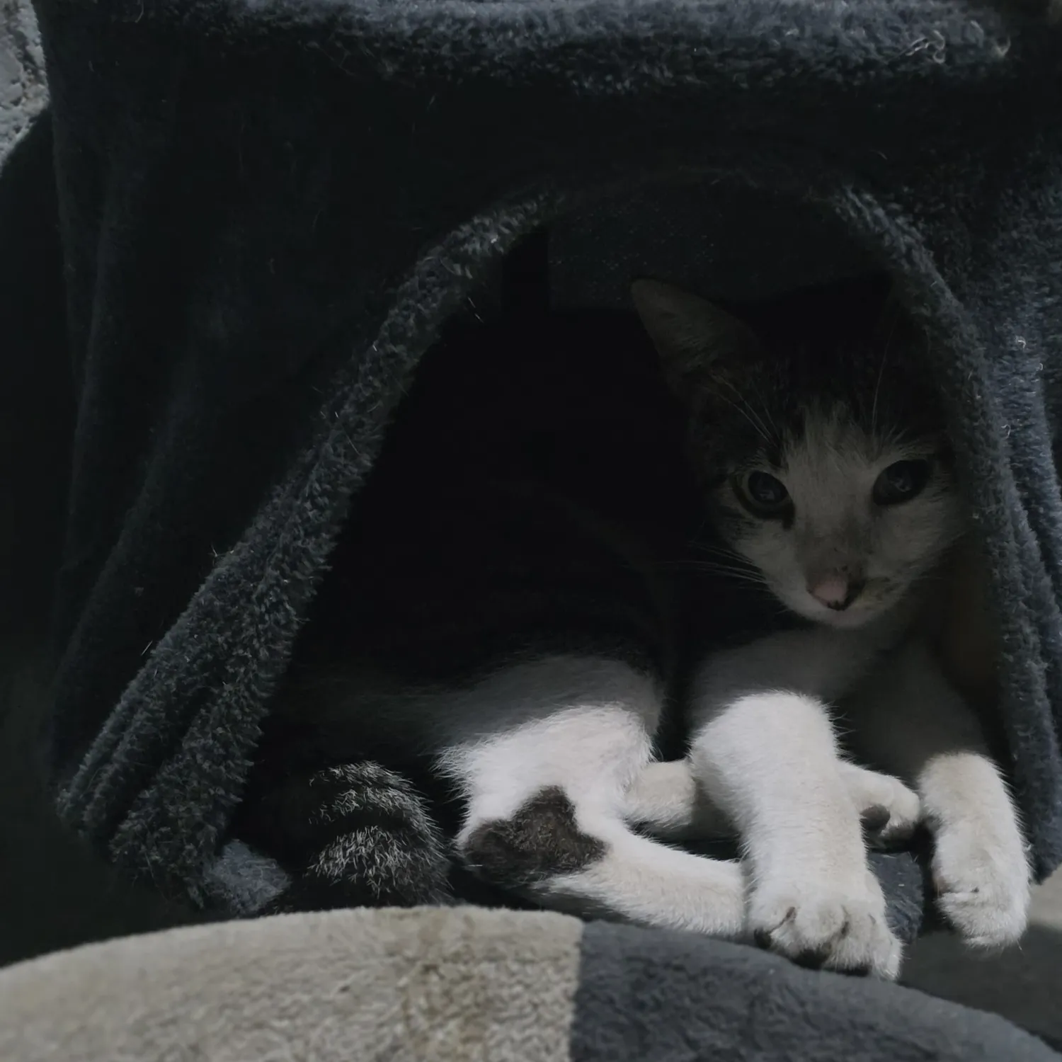 세븐틴 최근 활동샷