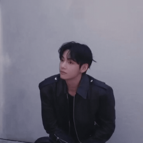 뷔 (방탄소년단) 팬이 찍은 순간