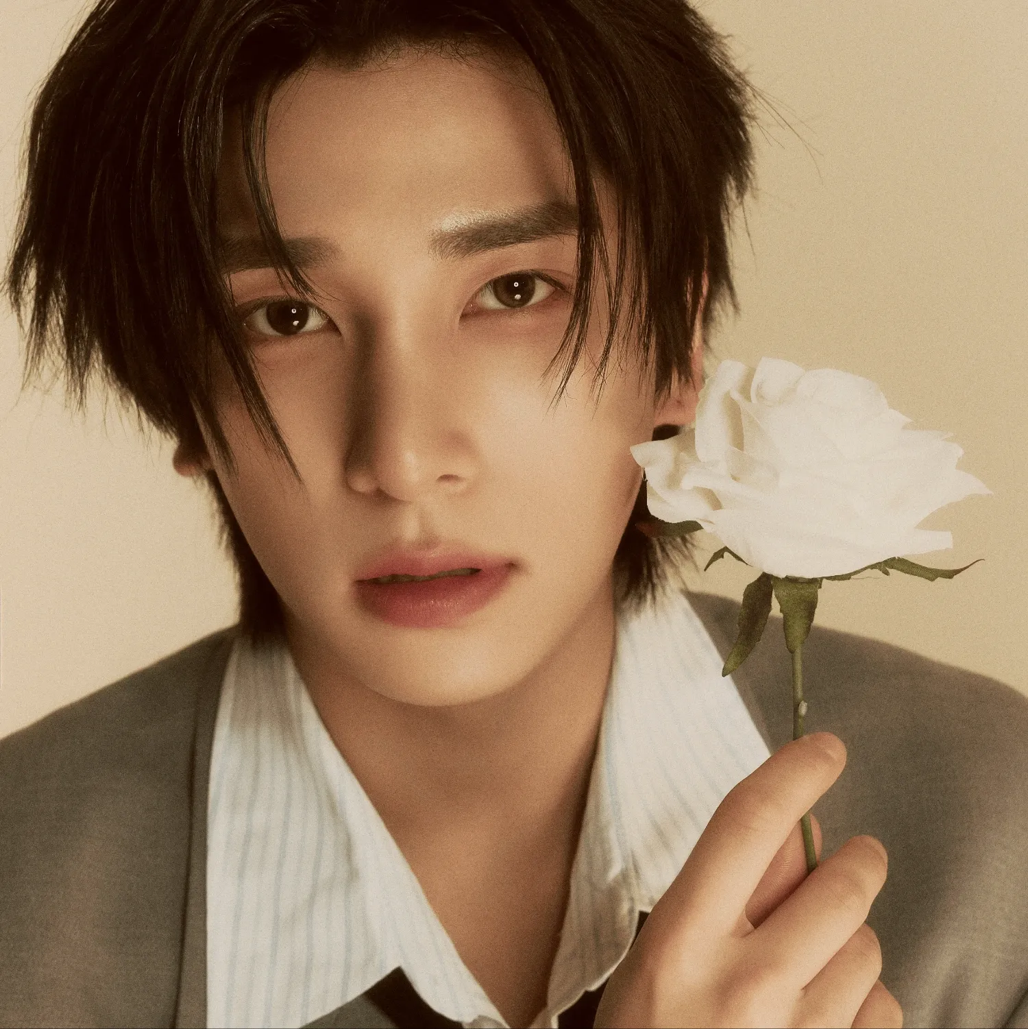 Latest photo of Hangyul (POLARIX)