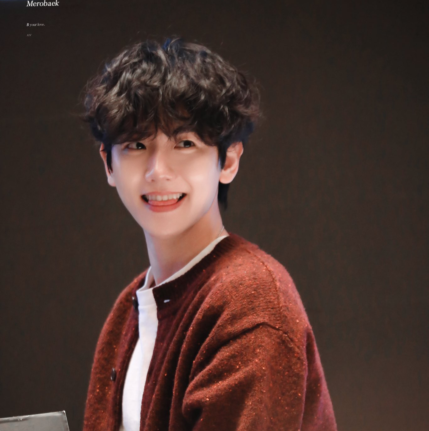 Potret di balik layar Baekhyun (EXO)