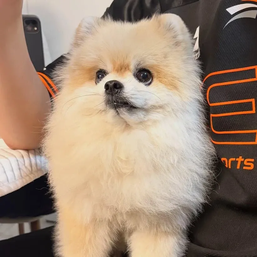 Behind-the-scenes cut of Moonbin (ASTRO)