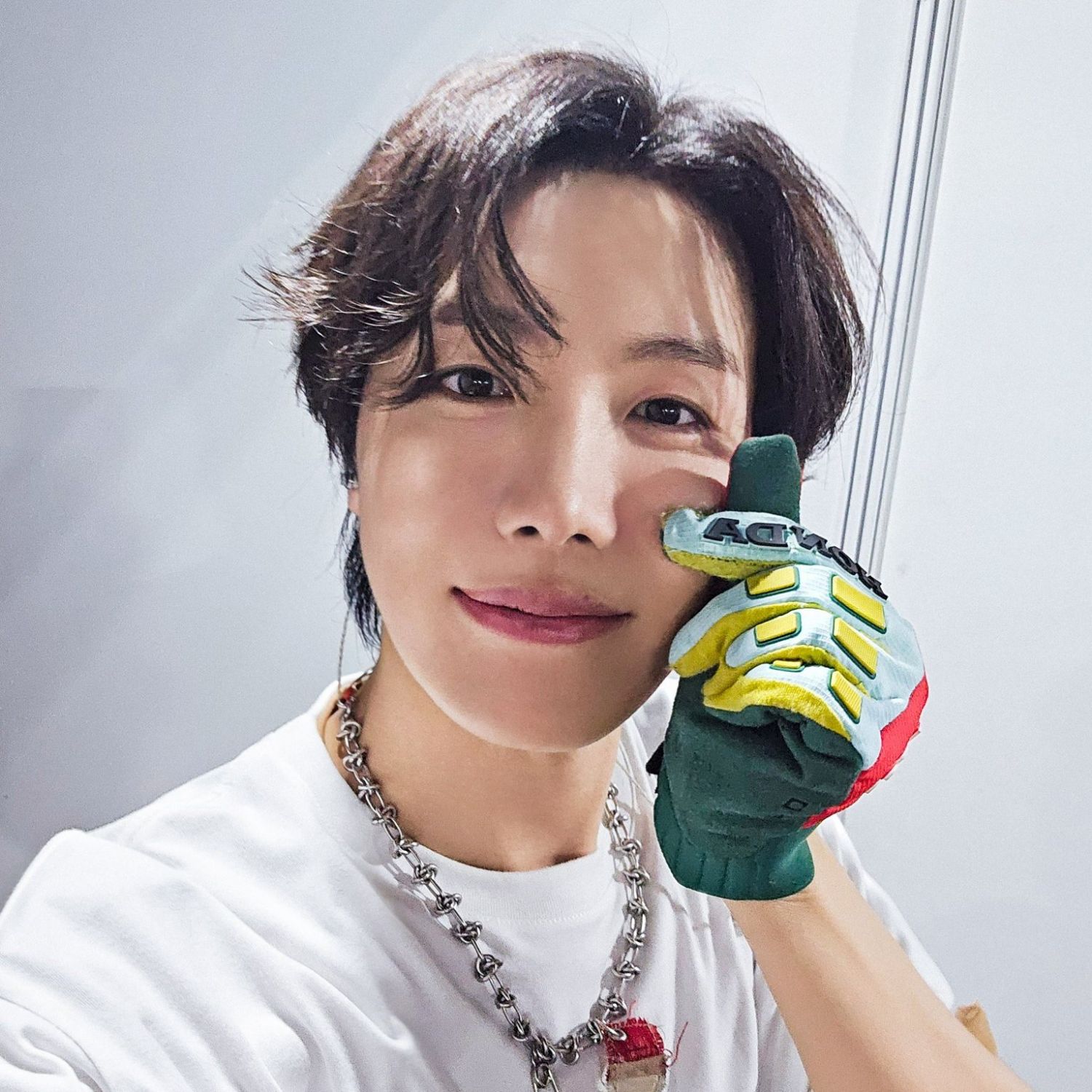 제이홉 (방탄소년단) 팬이 찍은 순간