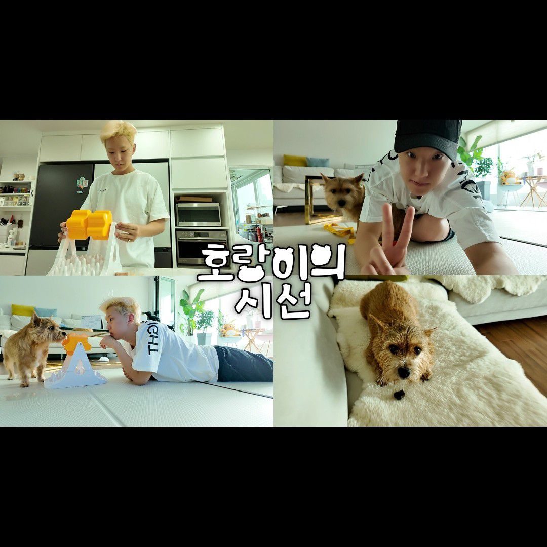 SEVENTEEN的最新活動照片