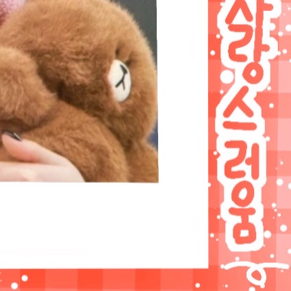 수진의 최신 사진