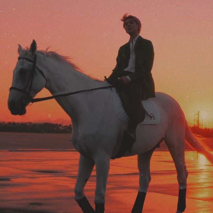 A moment captured by Sehun (EXO)'s fan