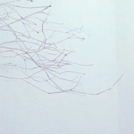 OH MY GIRLの舞台裏ショット