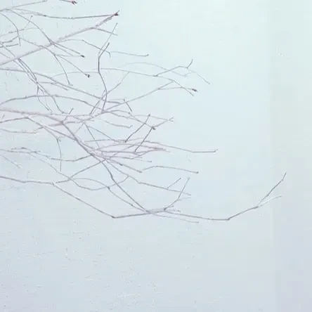 Popular profile picture of OH MY GIRL loved by fans