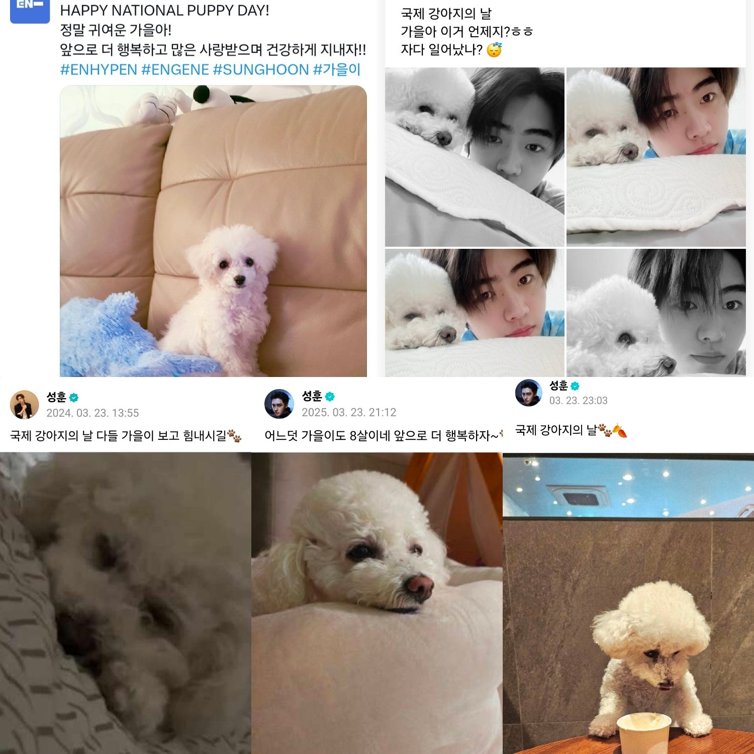 成训 (ENHYPEN)的最新照片