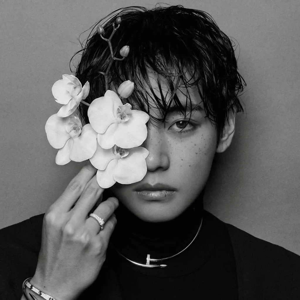 Potret di balik layar V (BTS)