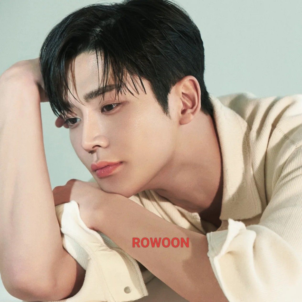 로운 팬이 찍은 순간