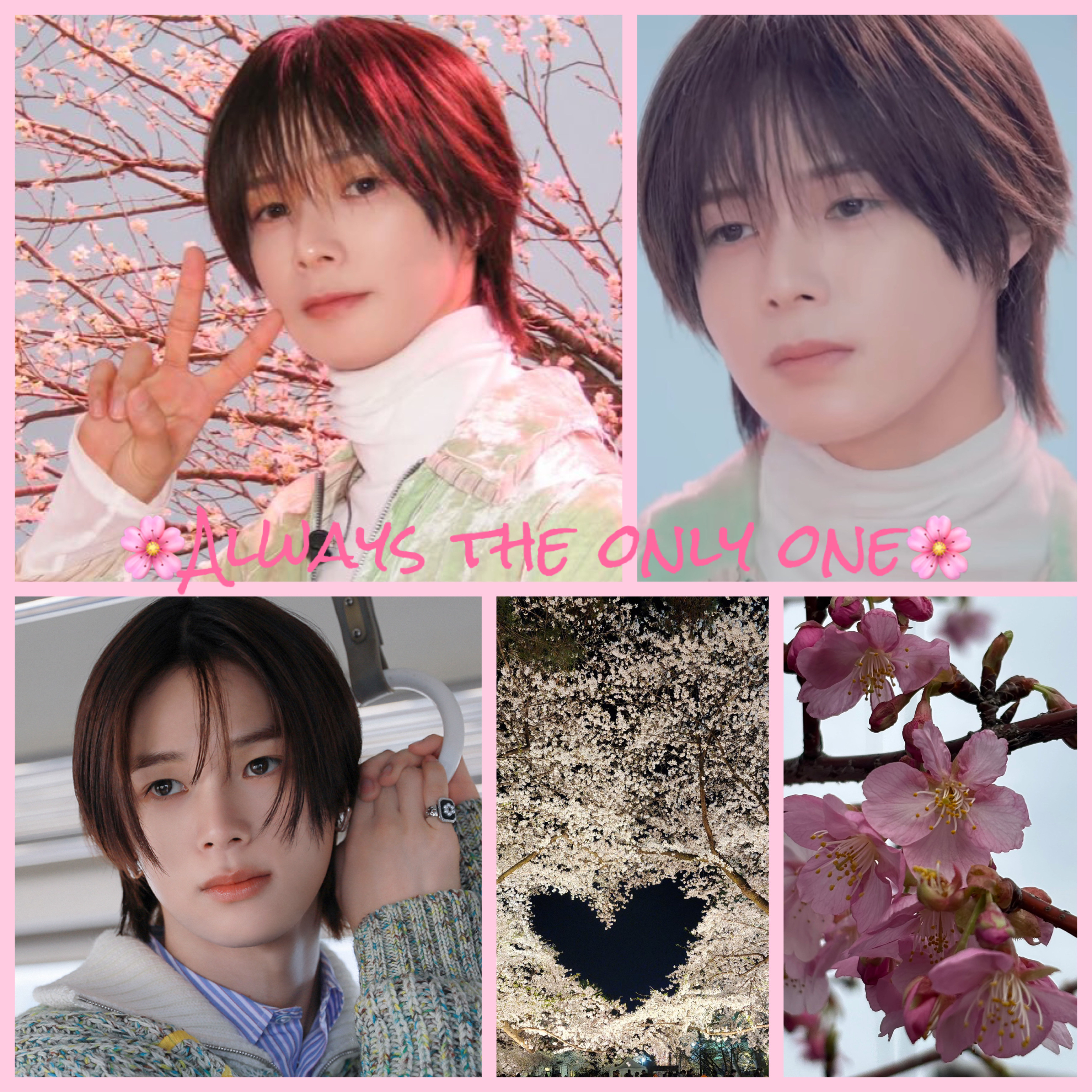 K (&TEAM)的最新照片