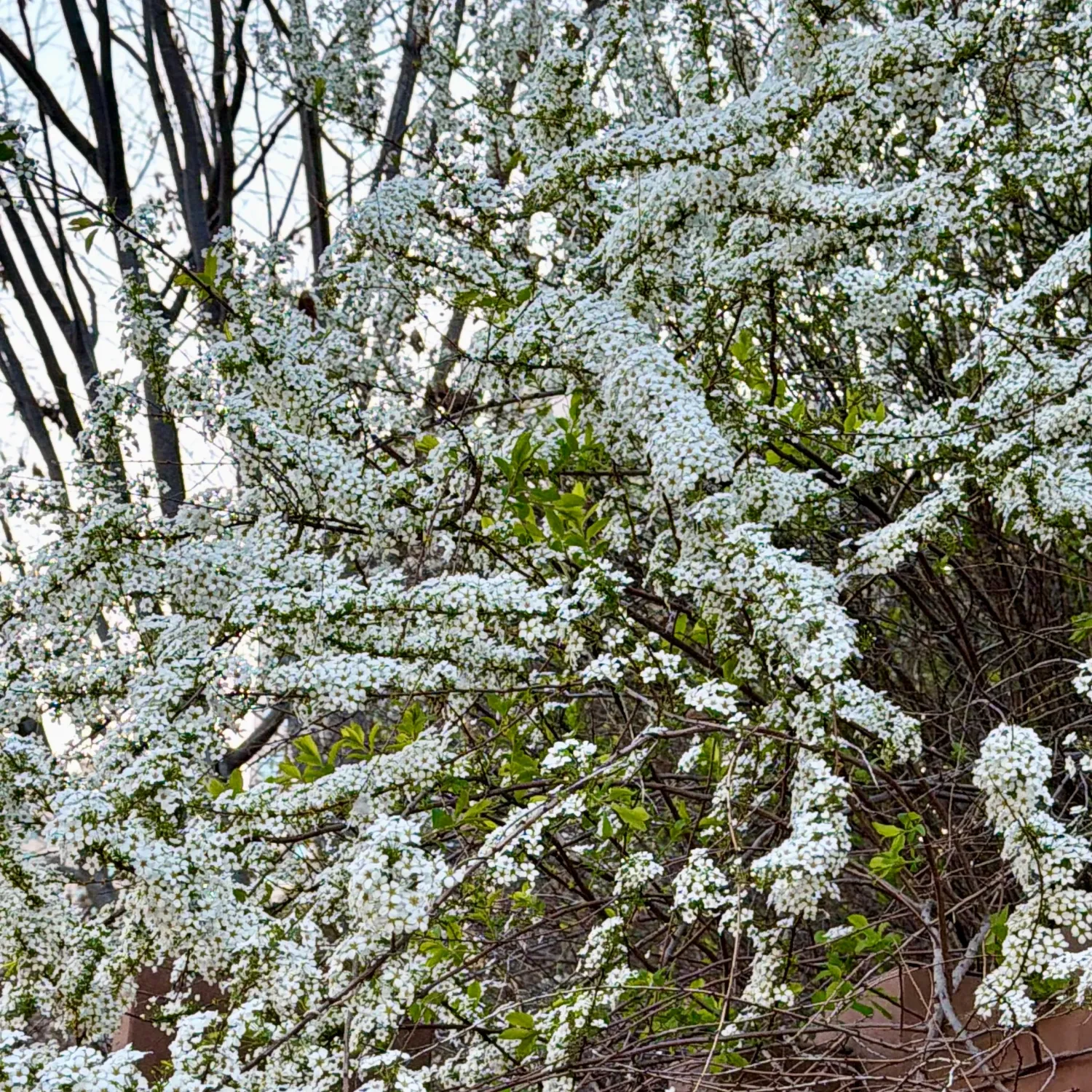 防弹少年团的最新活动照片
