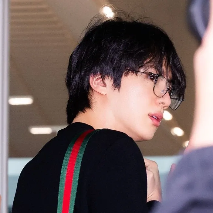 Jin (防弹少年团)粉丝拍下的瞬间