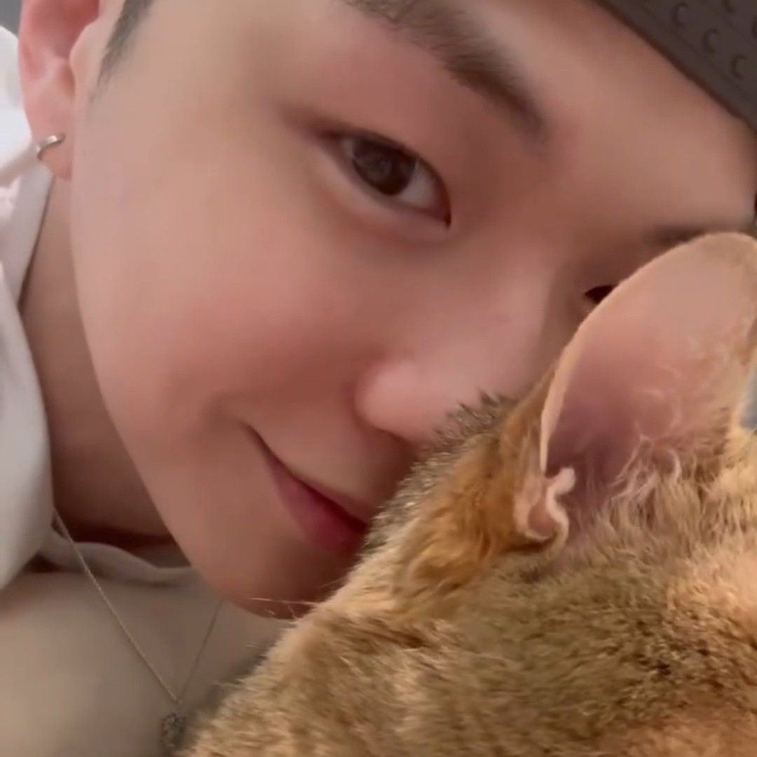 강다니엘 팬이 찍은 순간