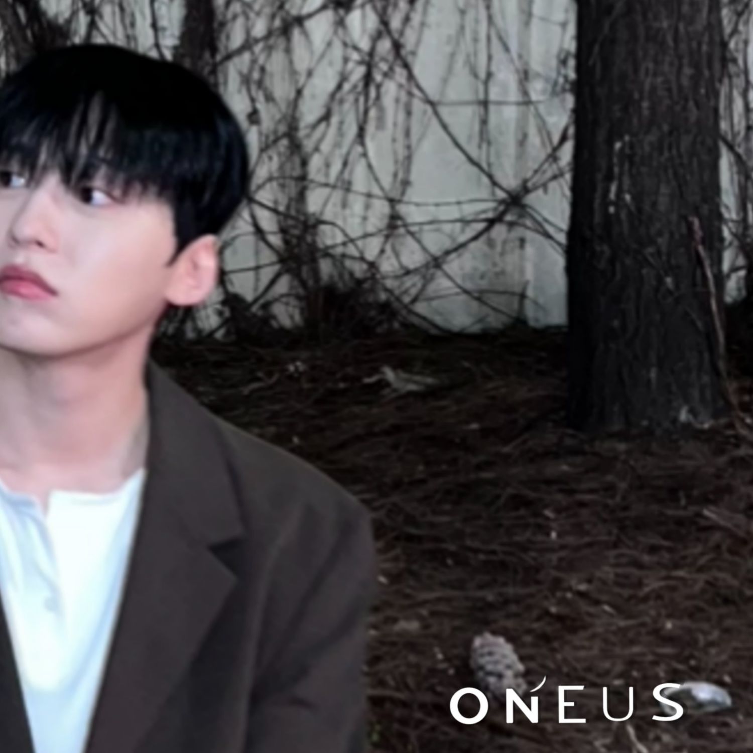 A moment captured by Keonhee (ONEUS)'s fan