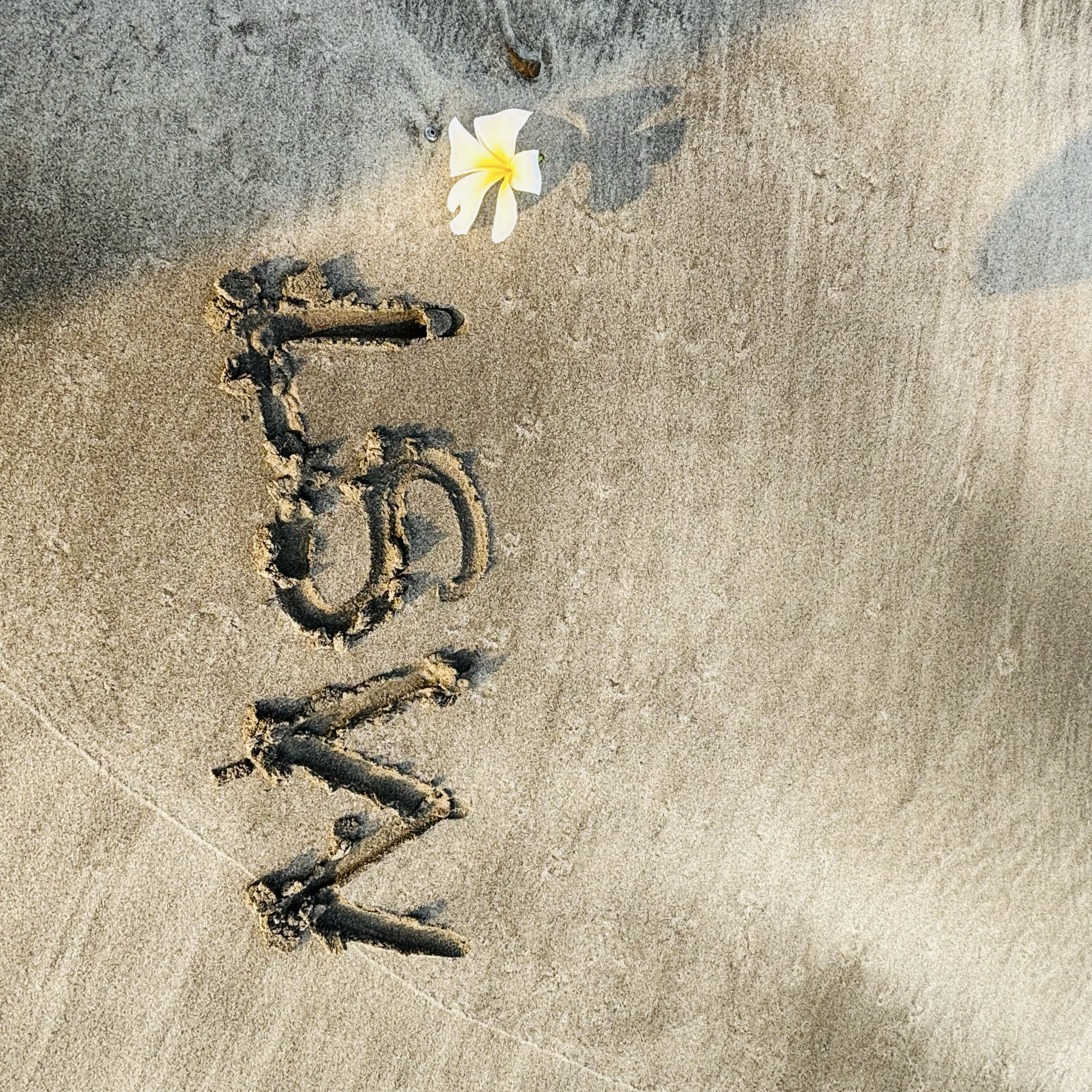 A moment captured by Lee Sangwon (ALPHA DRIVE ONE)'s fan