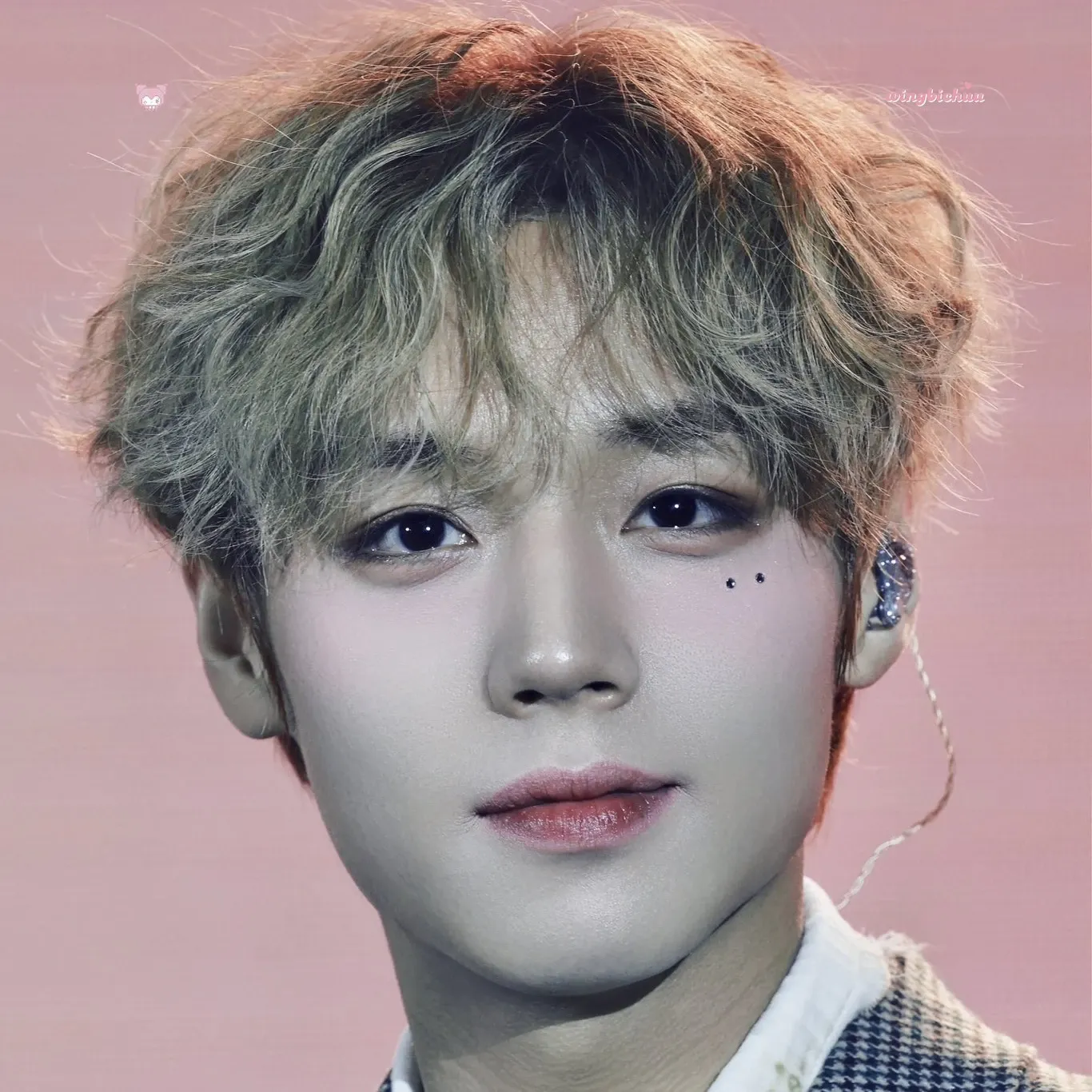 박지훈의 최신 사진