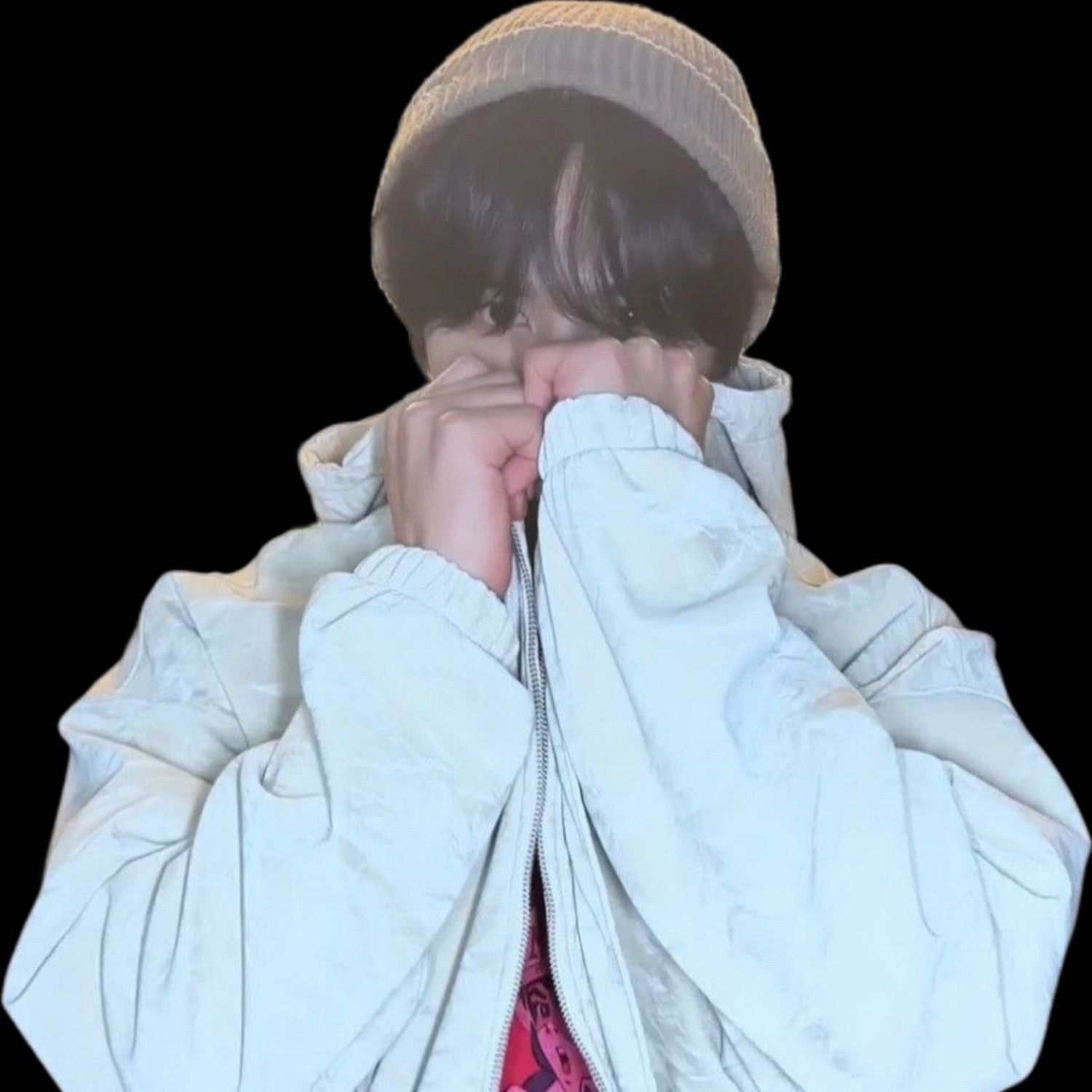 Latest photo of Rocky