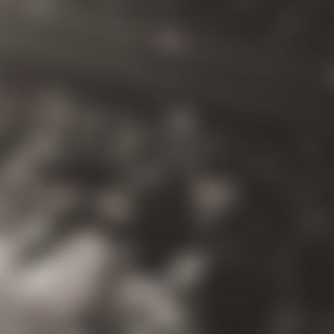 Latest photo of Hwasa (MAMAMOO)