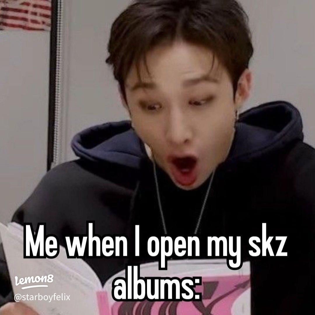 Stray Kids 팬이 찍은 순간