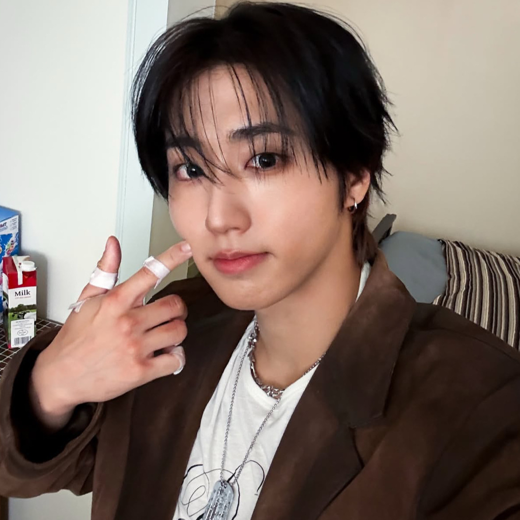 한 (Stray Kids) 팬이 찍은 순간