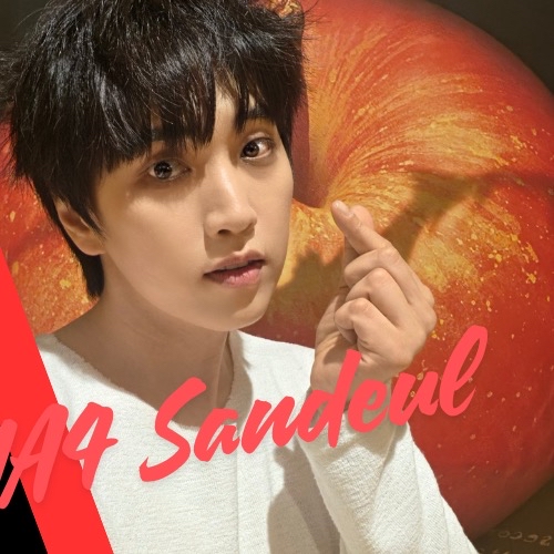 A moment captured by Sandeul (B1A4)'s fan