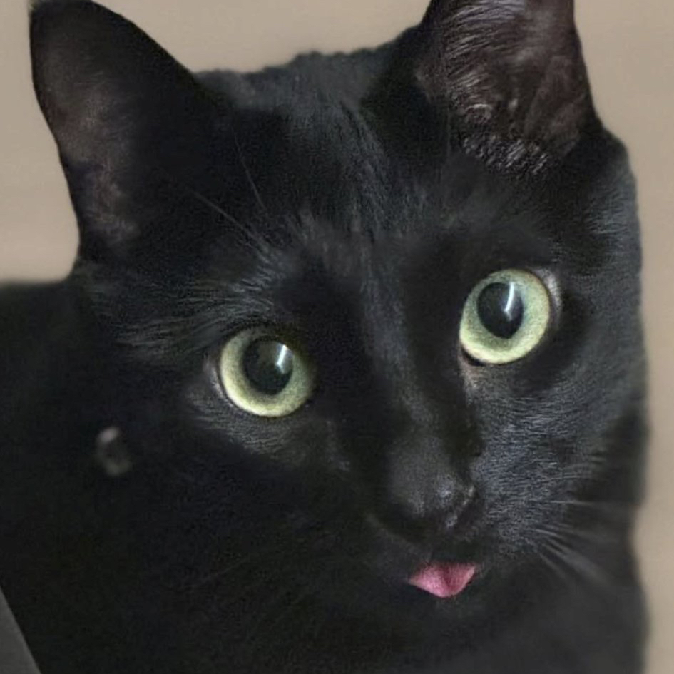 SUGA (BTS)の最新写真