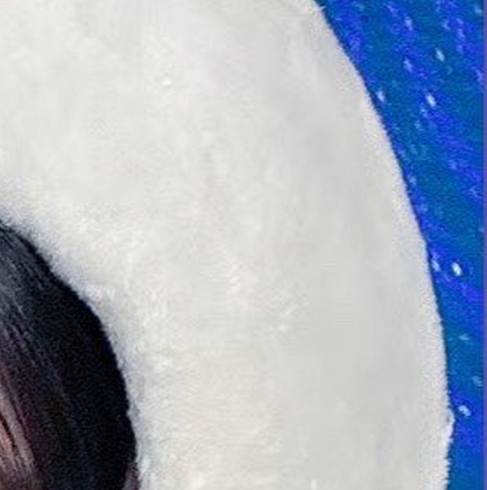 A moment captured by Choerry (ARTMS)'s fan