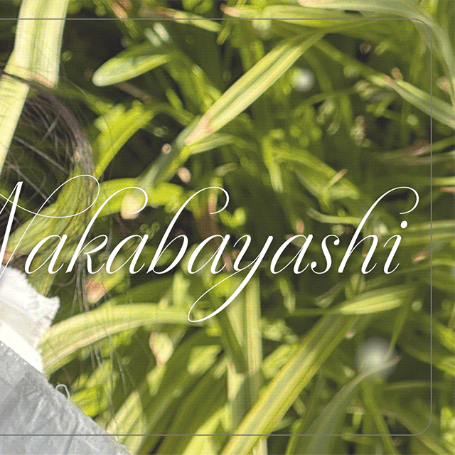 Rima (NiziU)的最新照片