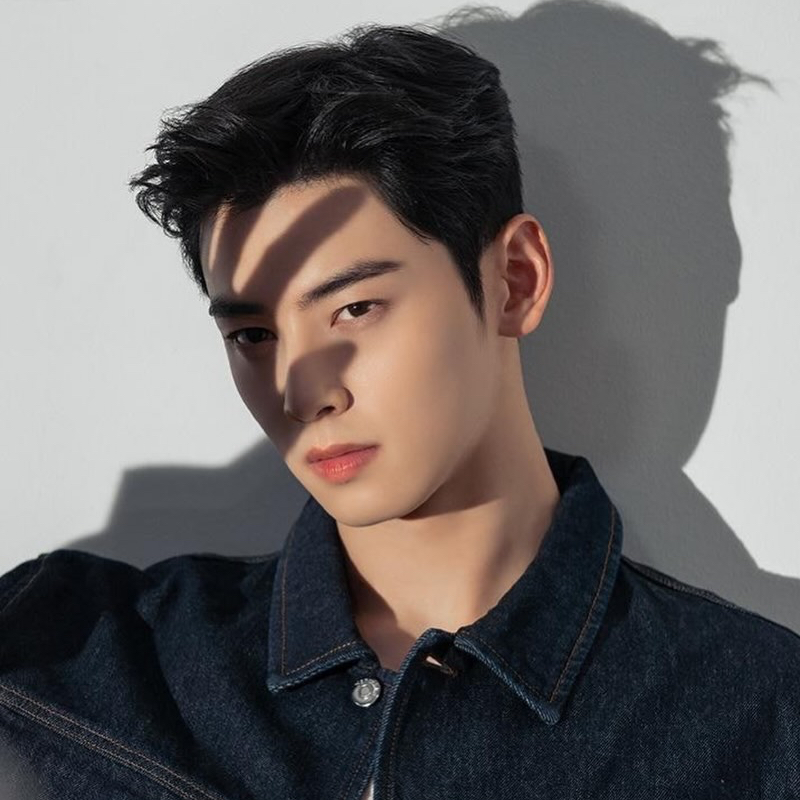 A moment captured by Eunwoo (ASTRO)'s fan