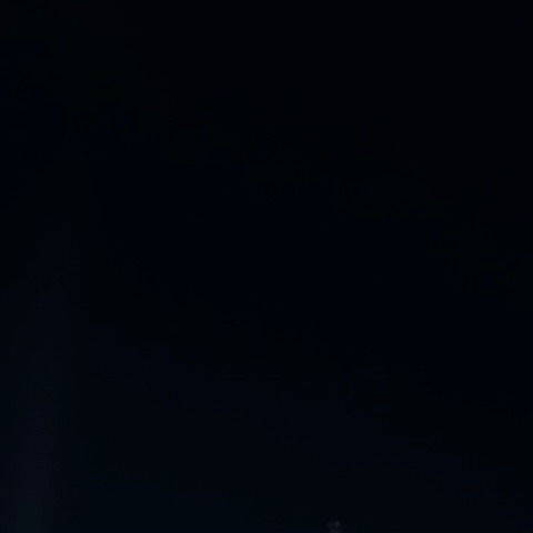 Boardファンが撮った瞬間