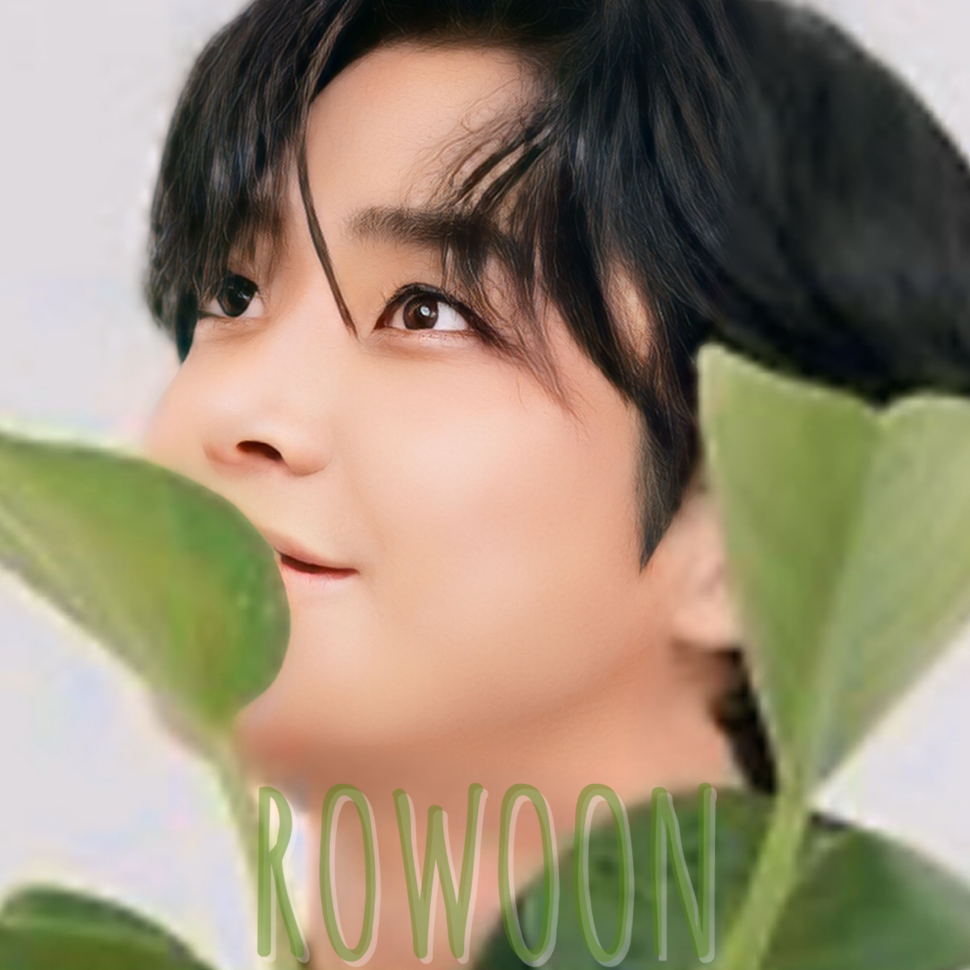 로운 팬이 찍은 순간