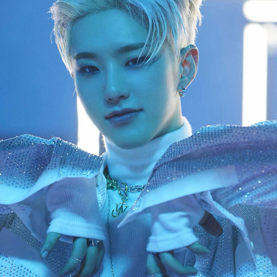 A moment captured by Hoshi (SEVENTEEN)'s fan