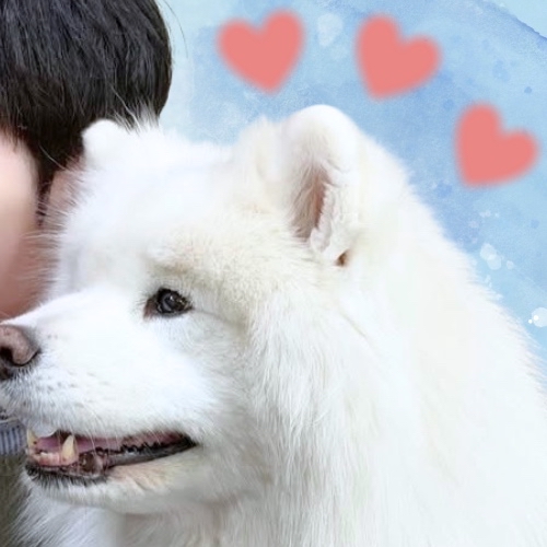 Recent activity shot of Haru (NEXZ)