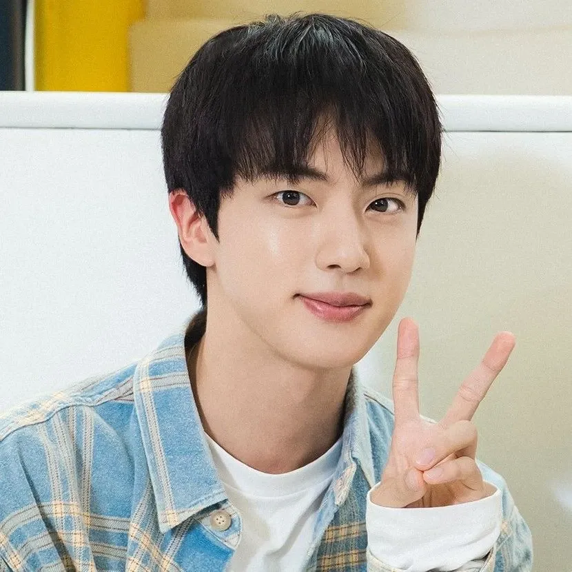 진 (방탄소년단) 팬이 찍은 순간