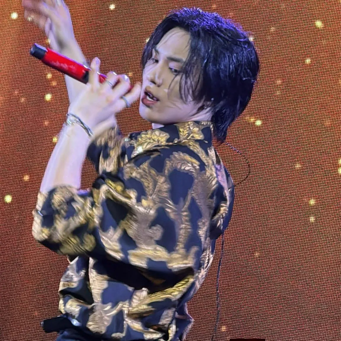 Latest photo of Rocky