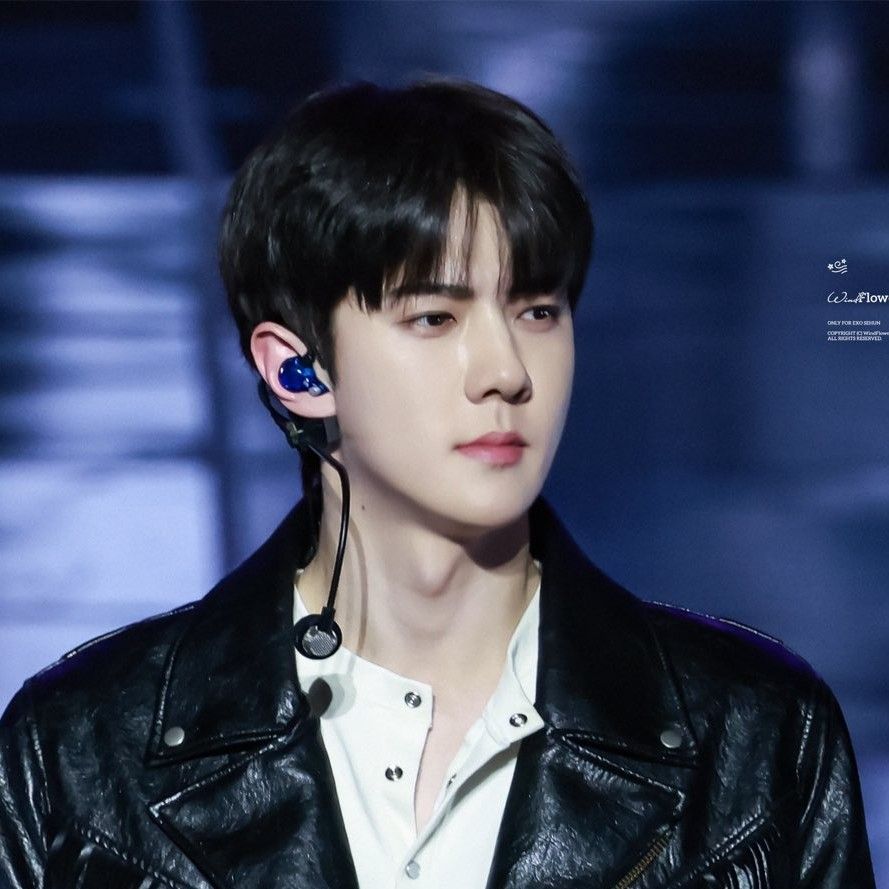 세훈 (EXO) 최근 활동샷