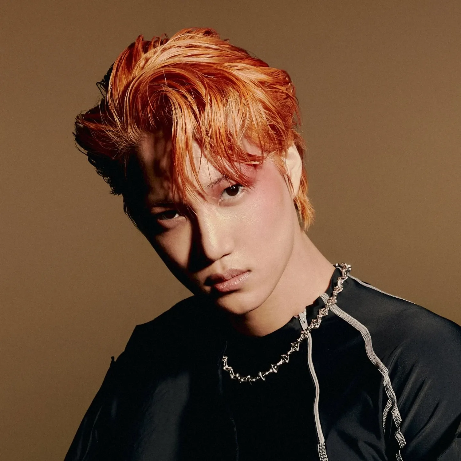 EXO 팬이 찍은 순간
