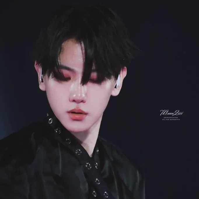 伯賢 (EXO)粉絲拍下的瞬間