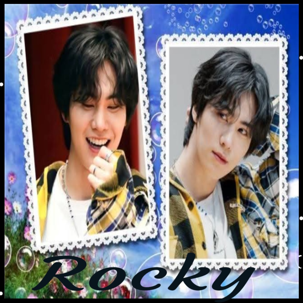 Recent activity shot of Rocky