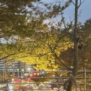 Recent activity shot of Kim Garam